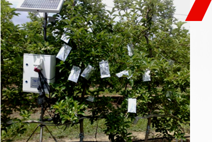 Фитомониторинг